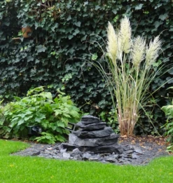 Amerikanisches Pampasgras / Silber-Pampasgras 35 Amerikanisches Pampasgras / Silber-Pampasgras -Angebote Blumen Takt Store amerikanisches pampasgras silber pampasgras m003058 924437 0