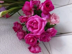 Edelrose 'Parole' ® -Angebote Blumen Takt Store edelrose parole m006084 578977 0