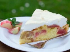 Erdbeer-Rhabarber / Himbeer-Rhabarber 'Frambozen Rood' -Angebote Blumen Takt Store erdbeer rhabarber himbeer rhabarber frambozen rood m102689 w 1