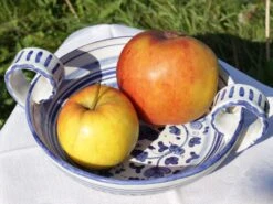 Sommerapfel 'James Grieve' 17 Sommerapfel 'James Grieve' -Angebote Blumen Takt Store sommerapfel james grieve m000558 w 2