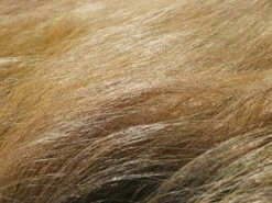 Zartes Federgras 'Ponytails' -Angebote Blumen Takt Store zartes federgras ponytails m054229 w 4